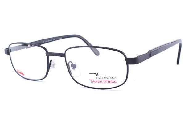 Model 1311ZP 53_20/140 50/1